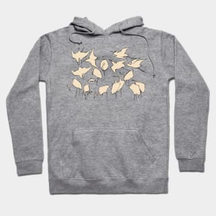 Dinos of a feather Hoodie